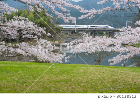十九女池の桜と東海道新幹線700系 十九女池の桜と東海道新幹線700系 30138512