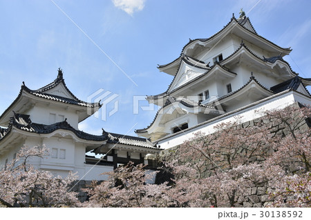 【三重県】春の伊賀上野城 30138592