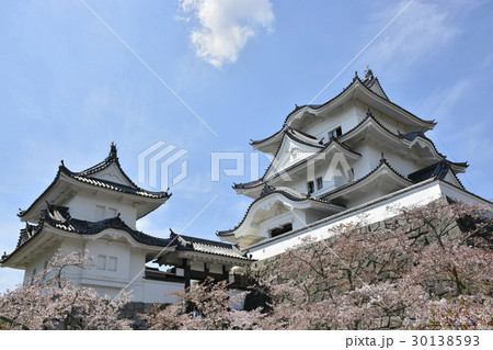 【三重県】春の伊賀上野城 【三重県】春の伊賀上野城 30138593