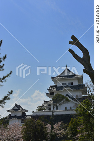 【三重県】春の伊賀上野城 30138615
