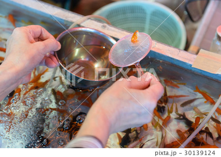金魚すくい 金魚すくい 30139124
