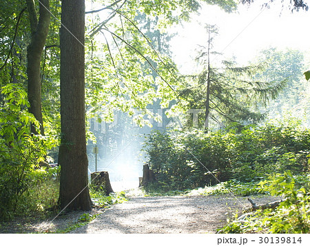 Green view in Cates Park, Vancouver, Canada Green view in Cates Park, Vancouver, Canada 30139814