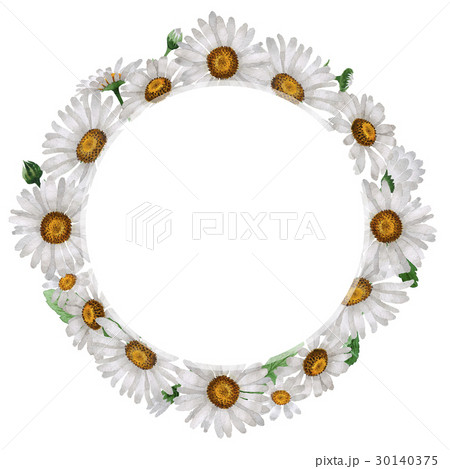 Wildflower chamomile flower wreath in a watercolor Wildflower chamomile flower wreath in a watercolor 30140375