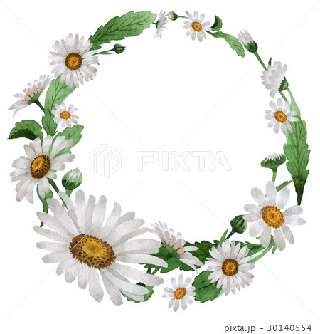 Wildflower chamomile flower wreath in a watercolor 30140554