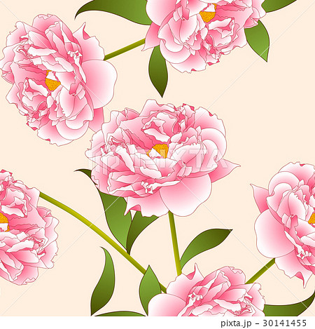 Pink Peony Flower on Beige Ivory Background. Pink Peony Flower on Beige Ivory Background. 30141455