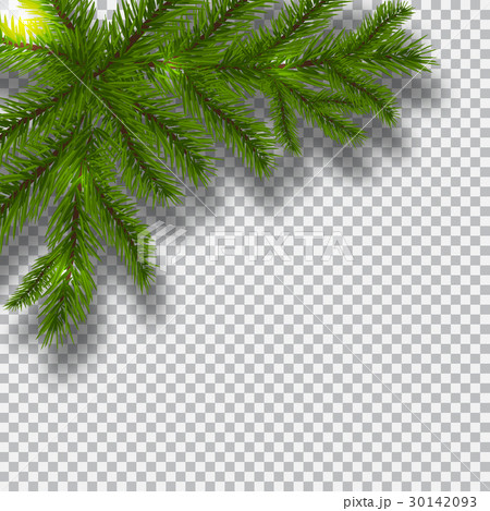 Green branches of a Christmas tree on a checker Green branches of a Christmas tree on a checker 30142093