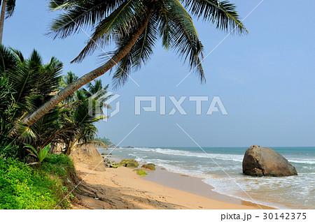 Tropical beach Tropical beach 30142375
