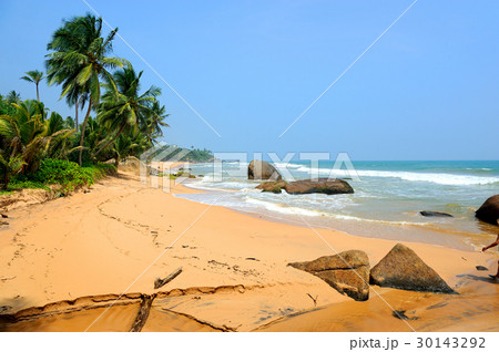 Tropical beach Tropical beach 30143292