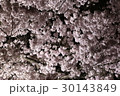 桜 ライトアップ 30143849