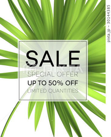 Sale banner or poster with palm leaves and jungle 30144385