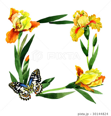 Wildflower iris flower frame in a watercolor style 30144824