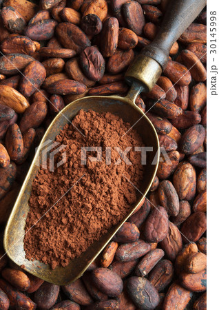cocoa beans and retro scoop with cocoa powder 30145998