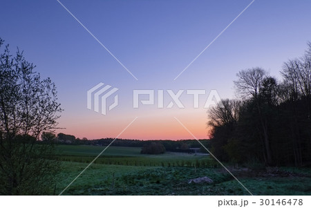 牧草地の夜明け 30146478