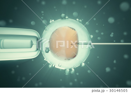 3d illustration Artificial insemination process 30146505