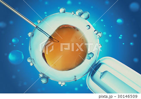 3D Illustration of artificial insemination or in 30146509