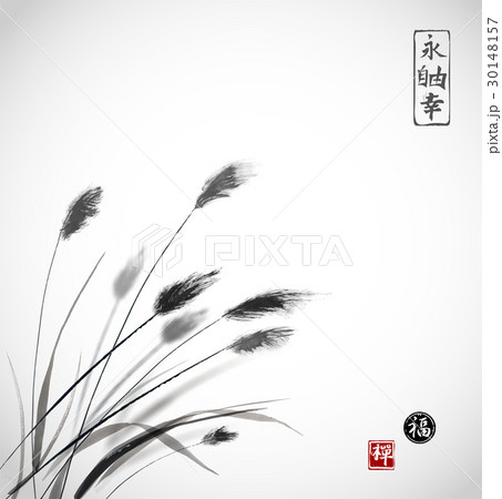 Grass on meadow hand drawn with ink on white 30148157