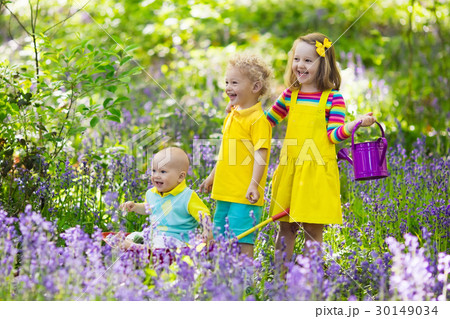 Kids in bluebell flower forest in summer 30149034