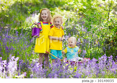 Kids in bluebell flower forest in summer 30149035