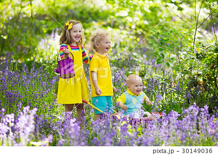 Kids in bluebell flower forest in summer 30149036