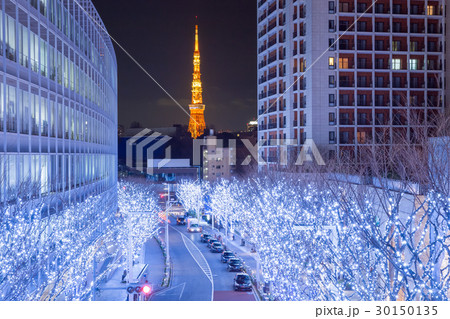 東京タワー_冬のけやき坂 30150135