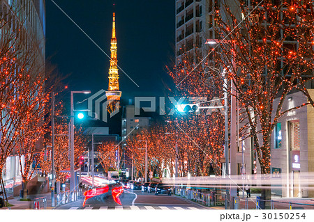 東京タワー_冬のけやき坂 30150254