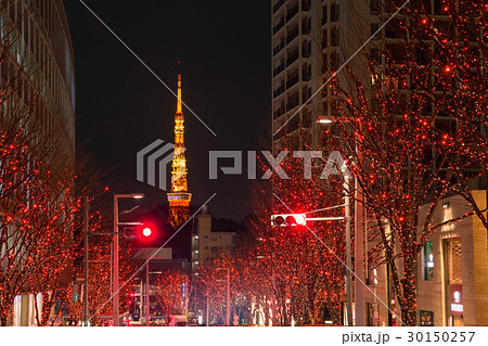 東京タワー_冬のけやき坂 30150257