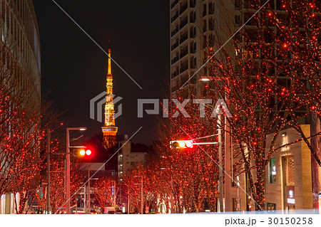東京タワー_冬のけやき坂 30150258