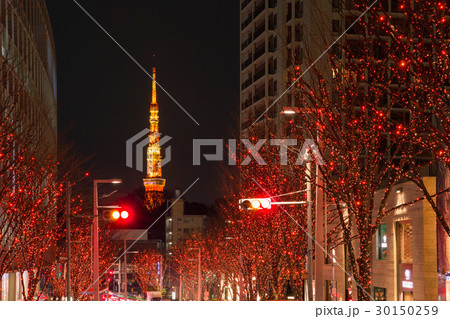 東京タワー_冬のけやき坂 30150259