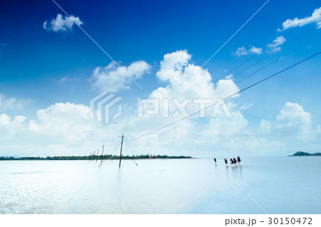 由布島 由布島 30150472