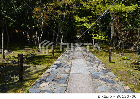 鹿王院の庭園（京都市右京区嵯峨北堀町） 30150700
