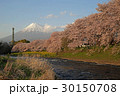 龍巌淵の桜と富士山 龍巌淵の桜と富士山 30150708