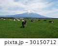 朝霧高原の牧場と富士山 朝霧高原の牧場と富士山 30150712