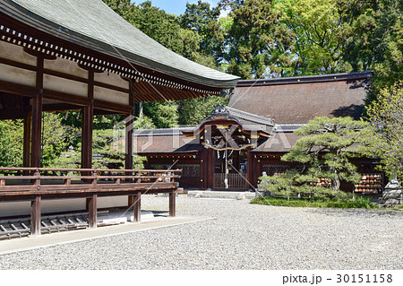 京都　梅宮大社境内 30151158