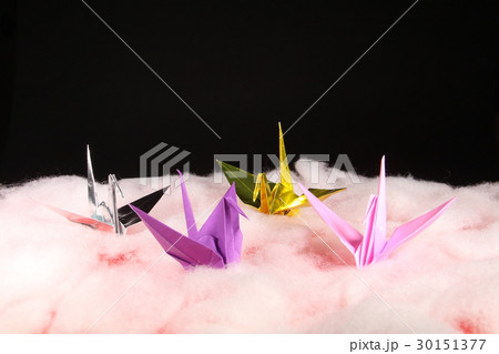 折り紙 30151377