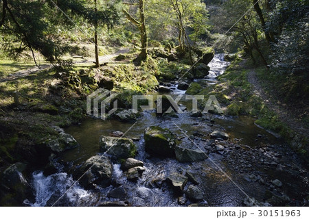 龍頭ヶ滝（島根県） 30151963