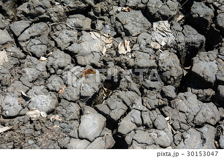 Dry soil texture for background. Dry land. Dry soil texture for background. Dry land. 30153047