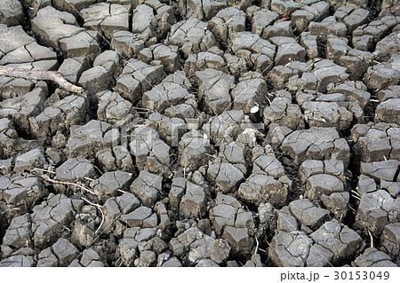 Dry soil texture for background. Dry land. Dry soil texture for background. Dry land. 30153049