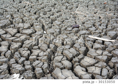Dry soil texture for background. Dry land. 30153050