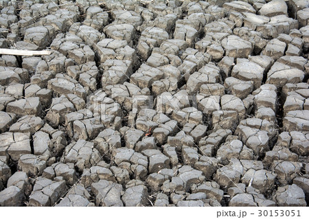 Dry soil texture for background. Dry land. 30153051