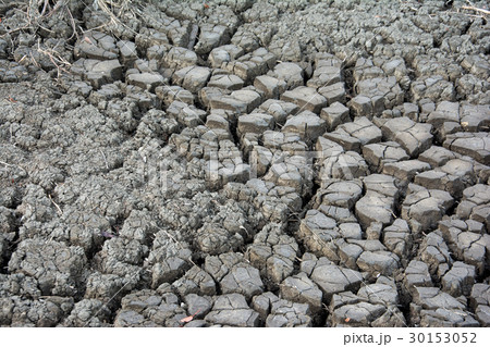 Dry soil texture for background. Dry land. 30153052