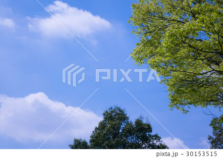 緑と空　凡用素材 30153515