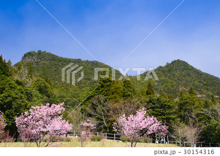 冠岳自然公園 30154316