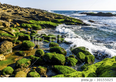 Coastal stone with algae in New Taipei, Taiwan Coastal stone with algae in New Taipei, Taiwan 30155025