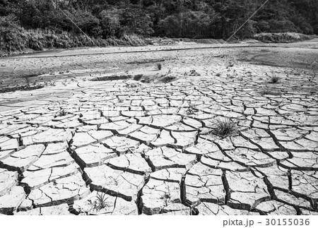 Land with dry, cracked ground and grass. Land with dry, cracked ground and grass. 30155036