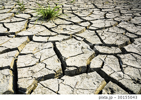 Land with dry, cracked ground and grass. 30155043