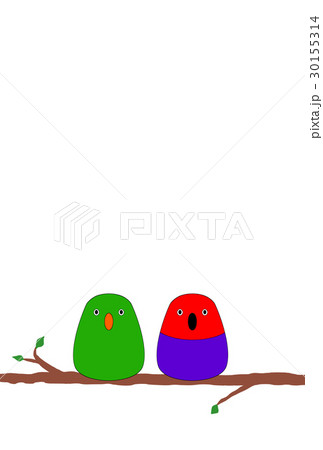 オオハナインコ　フレーム 30155314