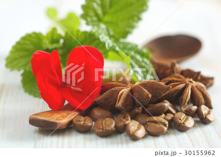 red flower mint leaf coffee anise food ingredients 30155962
