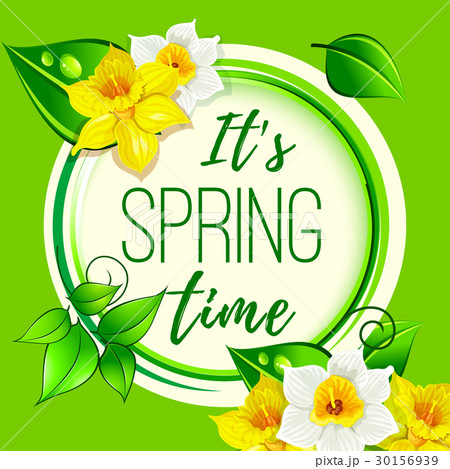 Vector spring greeting card of dafodil flowers Vector spring greeting card of dafodil flowers 30156939