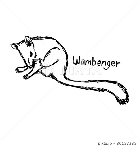 wambenger - vector illustration wambenger - vector illustration 30157335