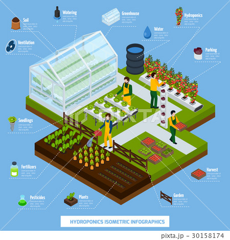 Hydroponics And Aeroponics Infographic Set Hydroponics And Aeroponics Infographic Set 30158174